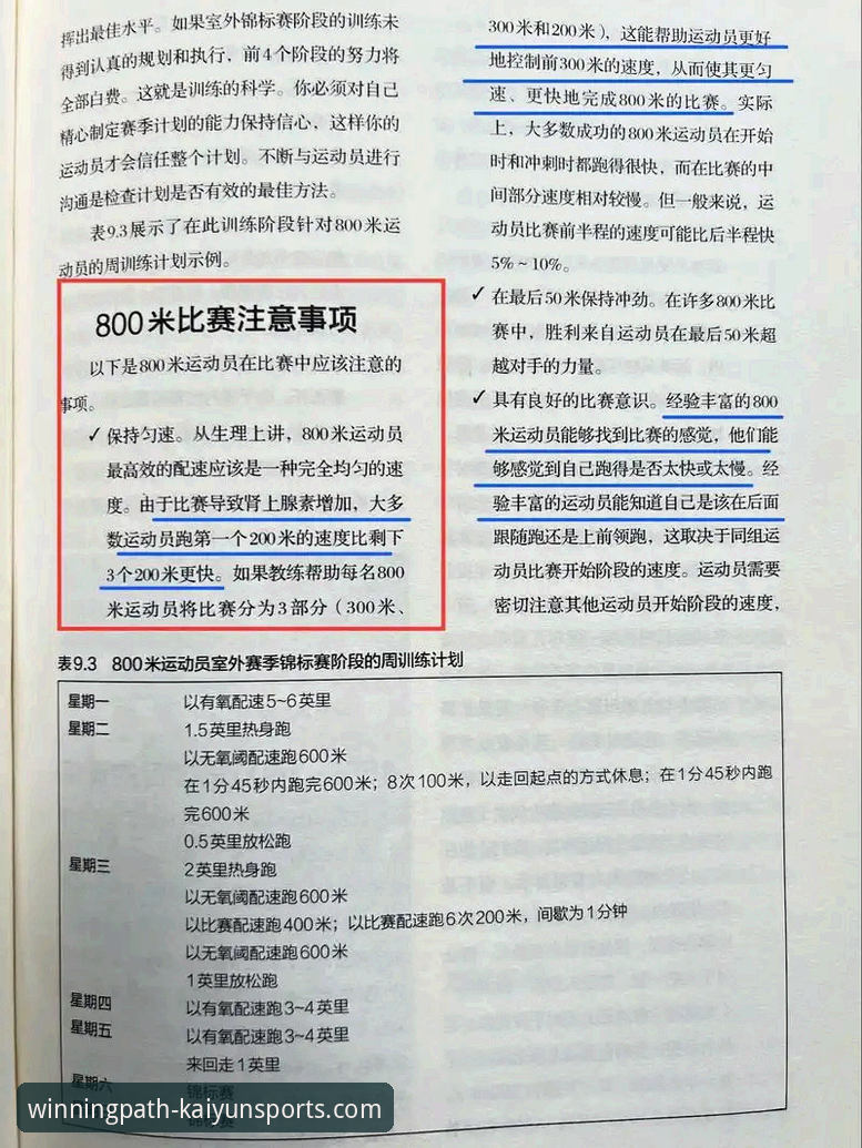 开心体育新手攻略实用指南：从下载到精通冠军之路